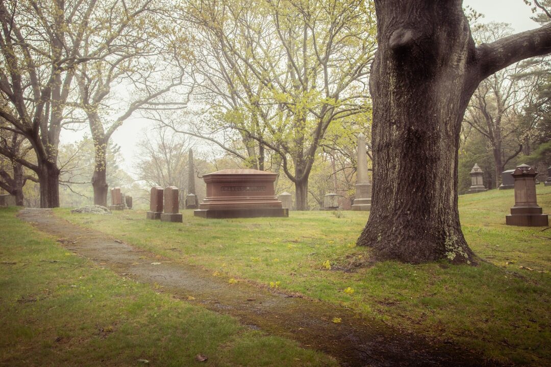 Photo Gravestones, trees